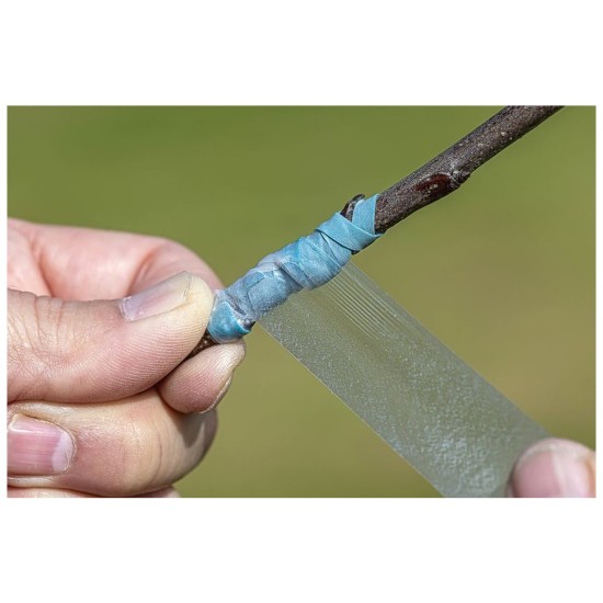 Vrúbľovacia páska, perforovaná, 30mm/70mm/60m BUDDY TAPE - Darčekové balenie Vrúbľovacia páska, perforovaná, 30mm/70mm/60m BUDDY TAPE - Darčekové balenie