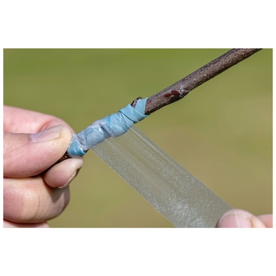 Vrúbľovacia páska, perforovaná, 30mm/70mm/60m BUDDY TAPE - Darčekové balenie Vrúbľovacia páska, perforovaná, 30mm/70mm/60m BUDDY TAPE - Darčekové balenie
