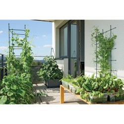 Podpěra pro rostliny Ø25x60 cm FLOO SUPPORTS Podpěra pro rostliny Ø25x60 cm FLOO SUPPORTS