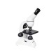 Mikroskop Rainbow D50L PLUS Moonstone - LEVENHUK Mikroskop Rainbow D50L PLUS Moonstone - LEVENHUK