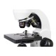 Mikroskop Rainbow D50L PLUS Moonstone - LEVENHUK Mikroskop Rainbow D50L PLUS Moonstone - LEVENHUK