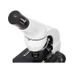 Mikroskop Rainbow D50L PLUS Moonstone - LEVENHUK Mikroskop Rainbow D50L PLUS Moonstone - LEVENHUK