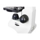 Mikroskop Rainbow D50L PLUS Moonstone - LEVENHUK Mikroskop Rainbow D50L PLUS Moonstone - LEVENHUK