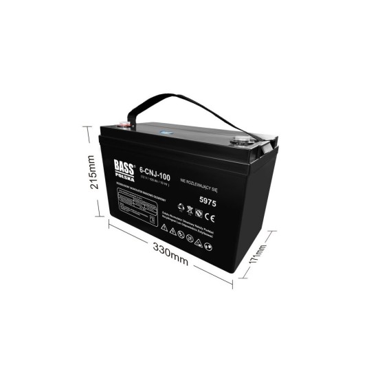 Baterie AGM VRLA 12 V, 100 Ah - BASS