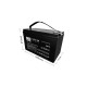 Baterie AGM VRLA 12 V, 100 Ah - BASS