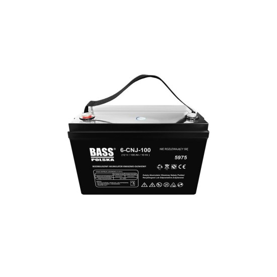 Baterie AGM VRLA 12 V, 100 Ah - BASS