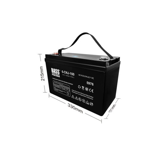Baterie AGM VRLA 12 V, 130 Ah - BASS Baterie AGM VRLA 12 V, 130 Ah - BASS