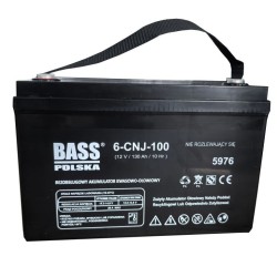 Baterie AGM VRLA 12 V, 130 Ah - BASS