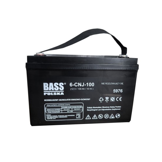 Baterie AGM VRLA 12 V, 130 Ah - BASS Baterie AGM VRLA 12 V, 130 Ah - BASS