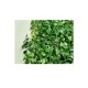 Umělý živý plot buxus, panel 60×40 cm - BASS