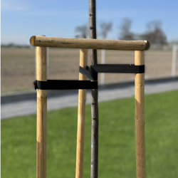 Vázací popruh na stabilizaci stromů 25 mm × 25 m - BRADAS Vázací popruh na stabilizaci stromů 25 mm × 25 m - BRADAS