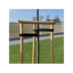 Vázací popruh na stabilizaci stromů 25 mm × 25 m - BRADAS