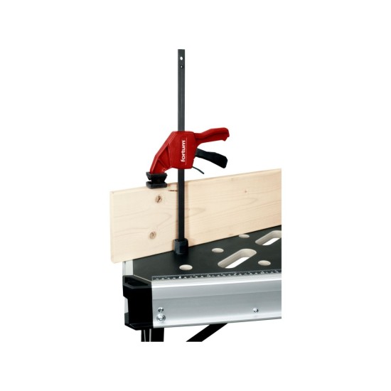 Svěrka vertikální přítlačná pro pracovní stoly s otvory Ø20 mm, 0–250 mm - FORTUM
