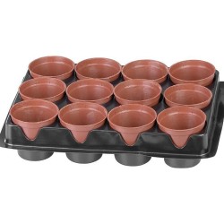 Sadbovač 24×18×6 cm, 12 sazenic