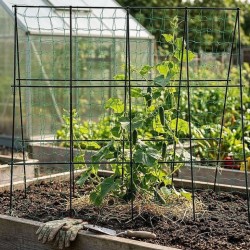 Síť na okurky s konstrukcí 1,2×1,2 m – STREND PRO Síť na okurky s konstrukcí 1,2×1,2 m – STREND PRO