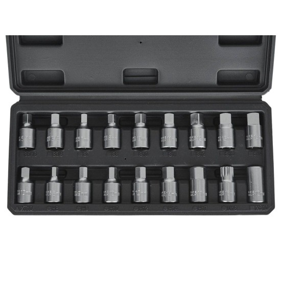 Zástrčné hlavice na zátky olejových van 3/8", sada 18 ks GEKO Zástrčné hlavice na zátky olejových van 3/8", sada 18 ks GEKO